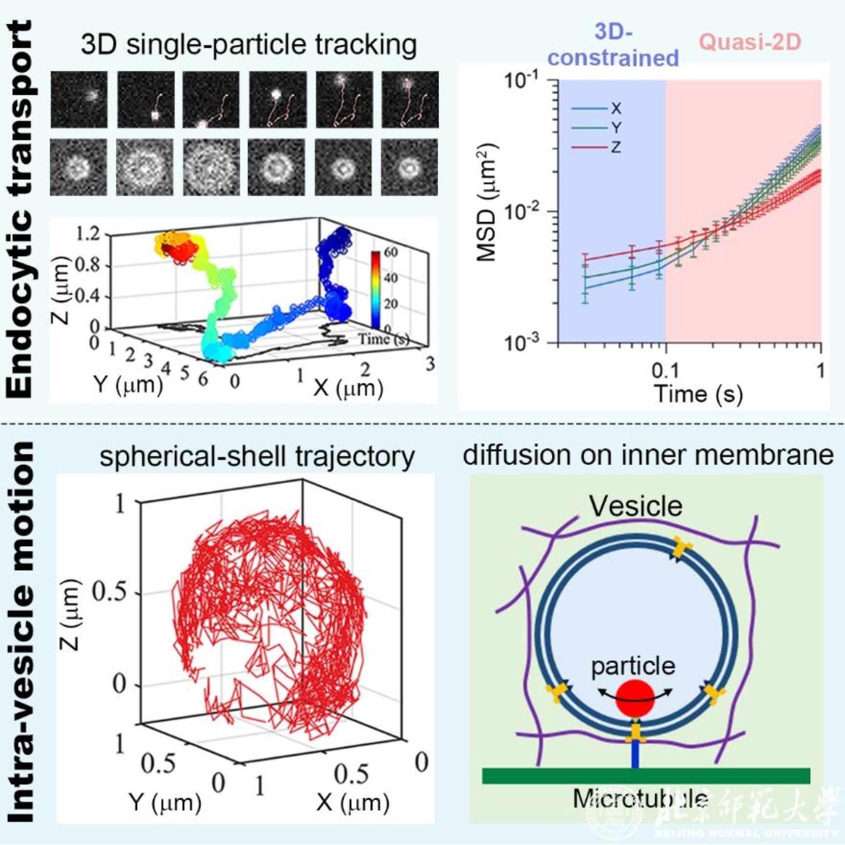壹定发EDF最新官方网站